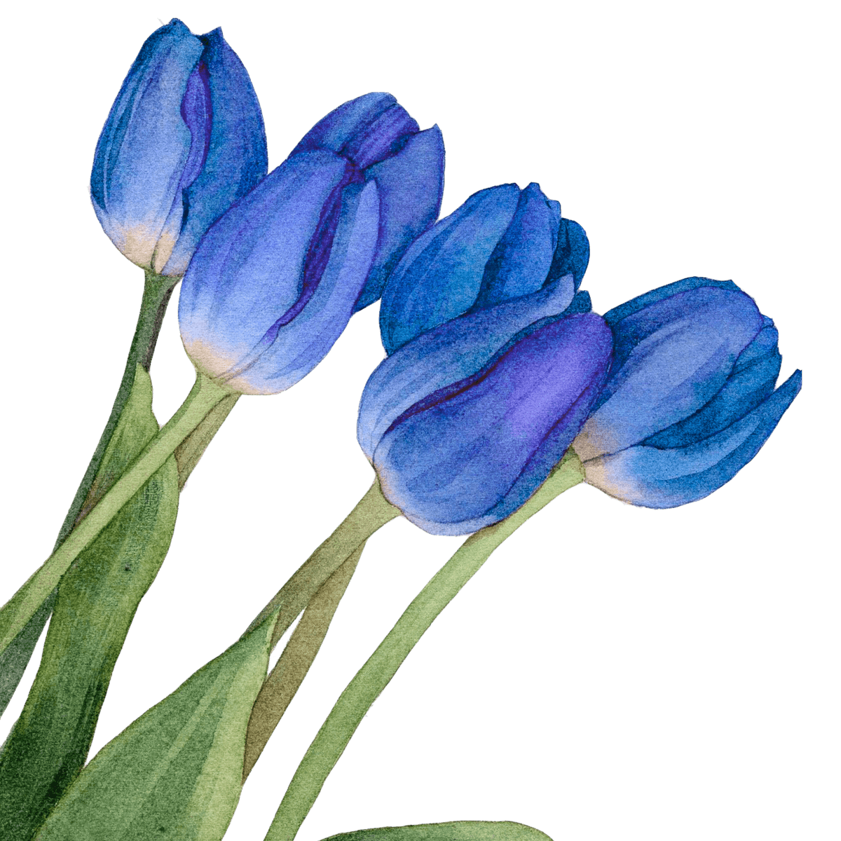 Floral